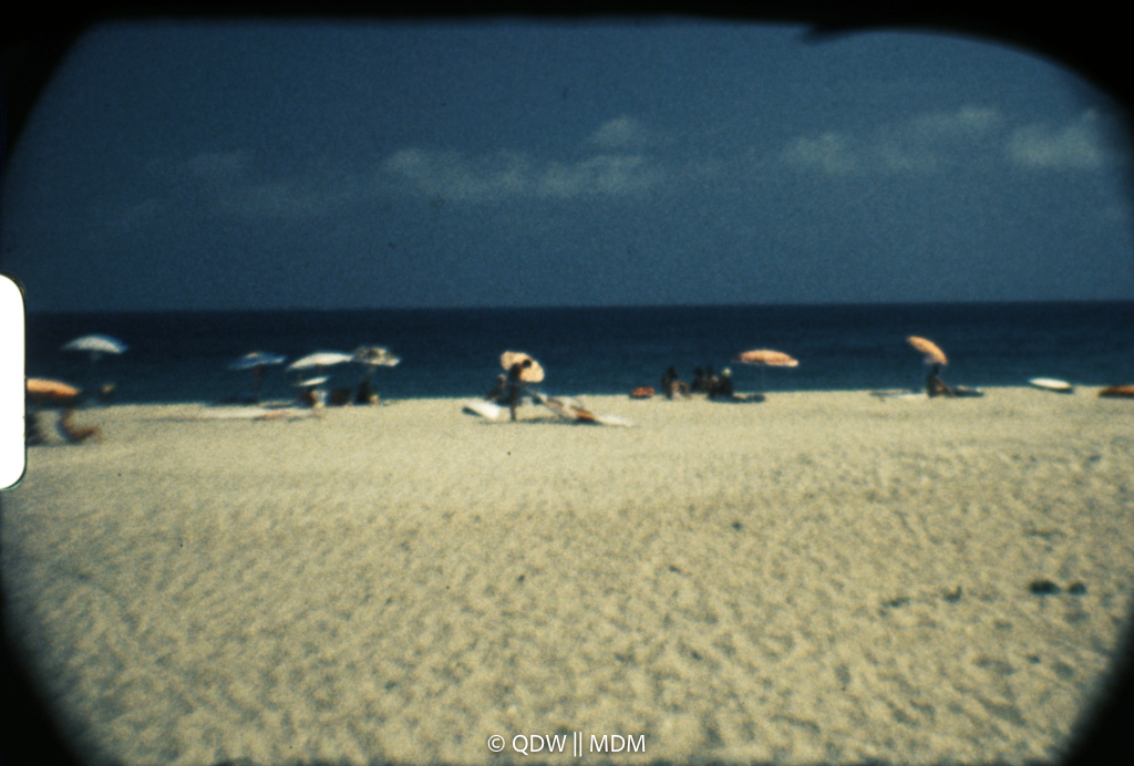 Frame 0513