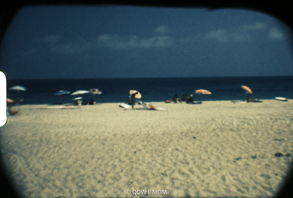 Frame 0515