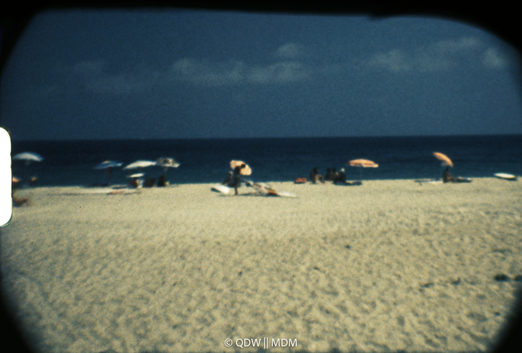 Frame 0516