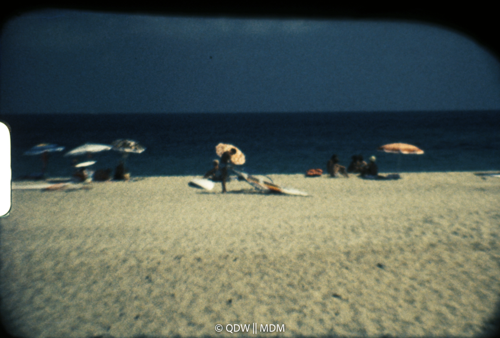 Frame 0530