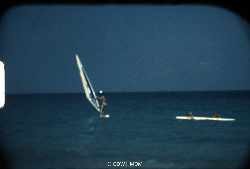 Frame 2559