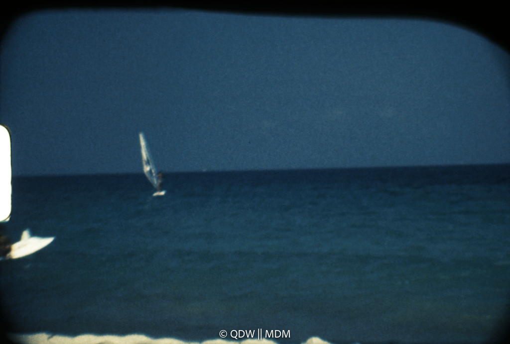 Frame 2781