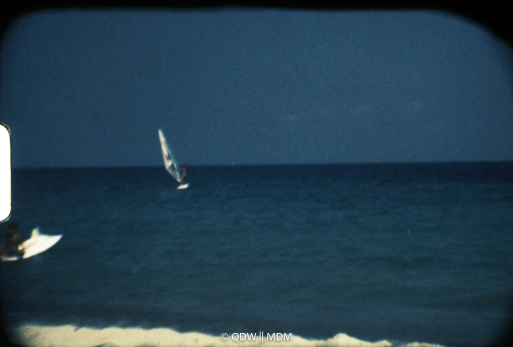 Frame 2847