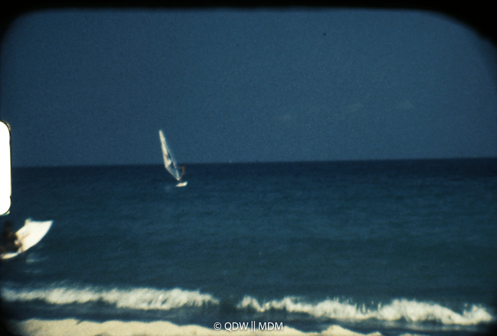 Frame 2879