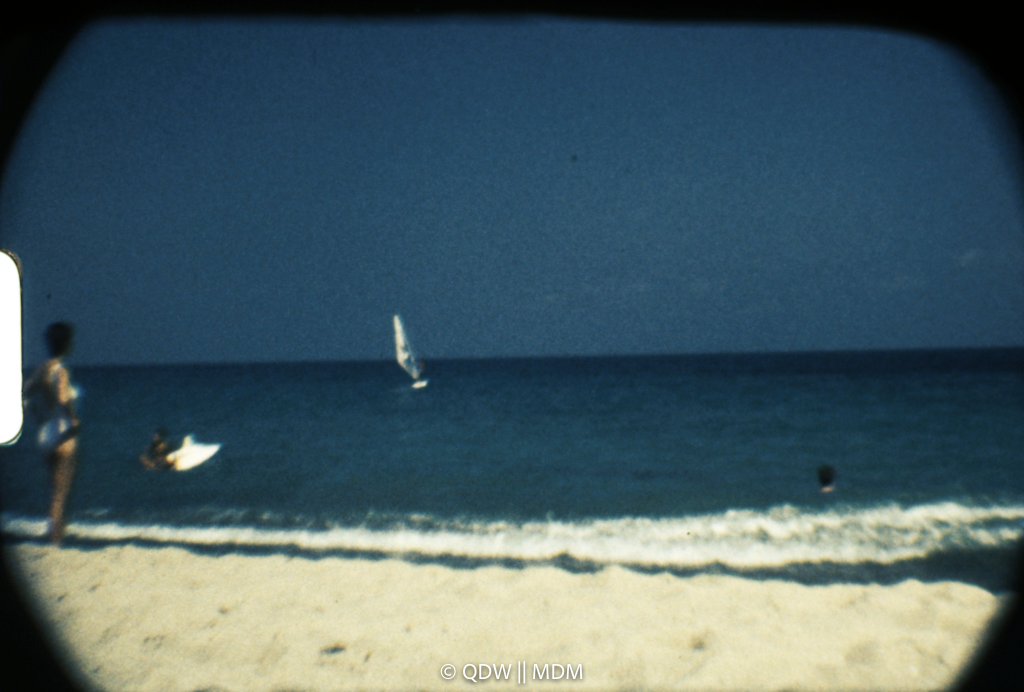Frame 2902