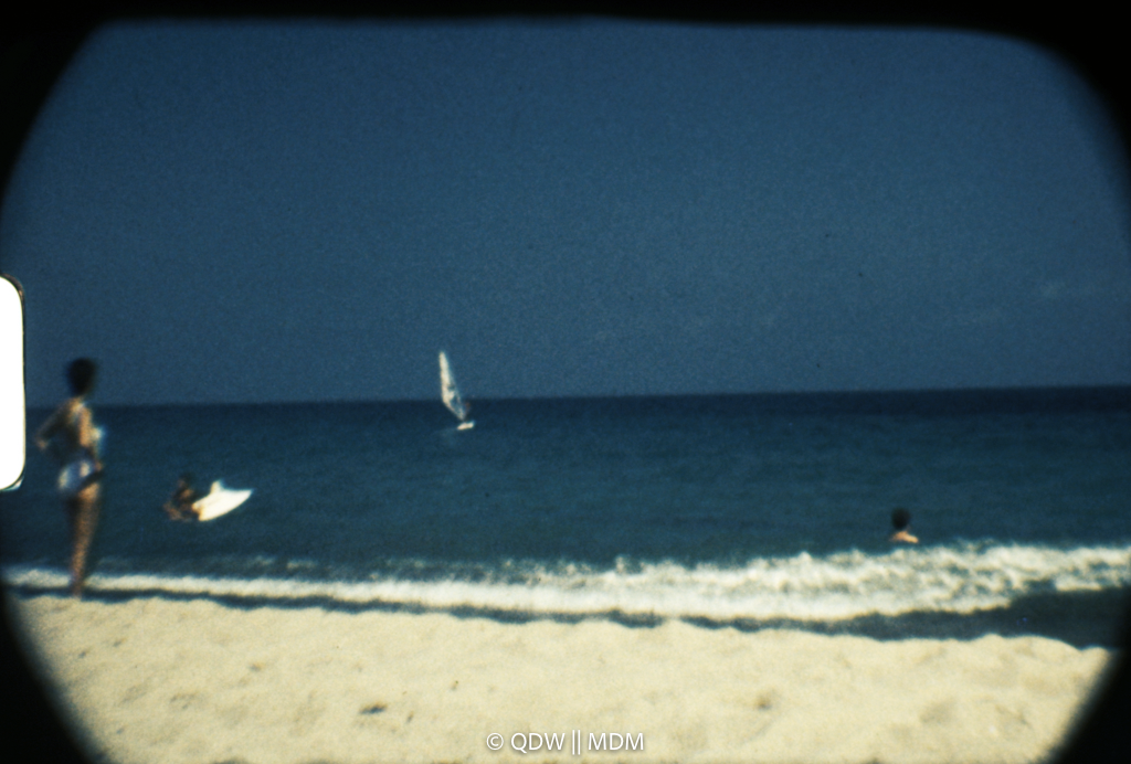 Frame 2904