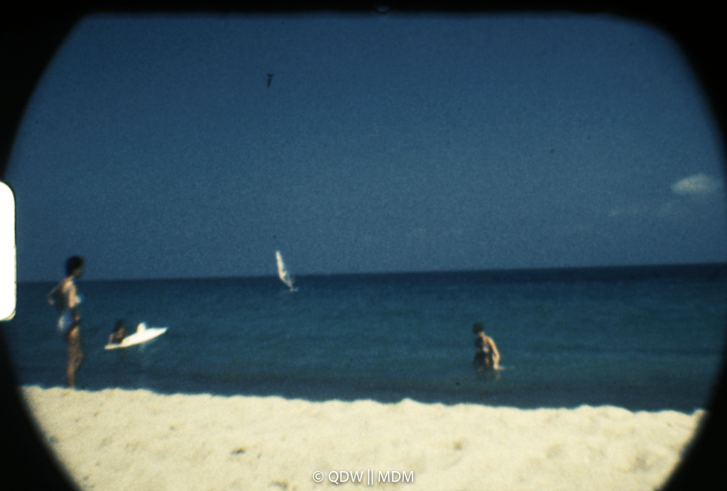 Frame 2955