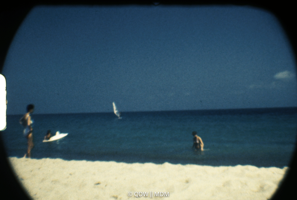 Frame 2956