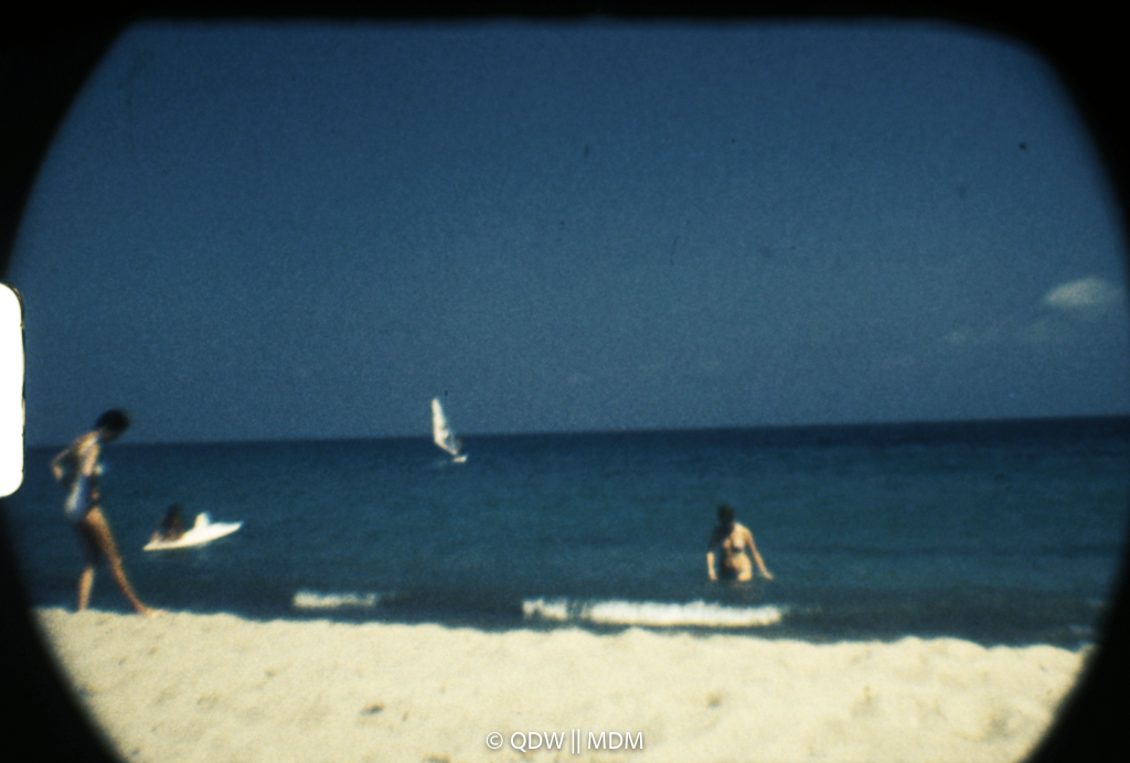 Frame 2967