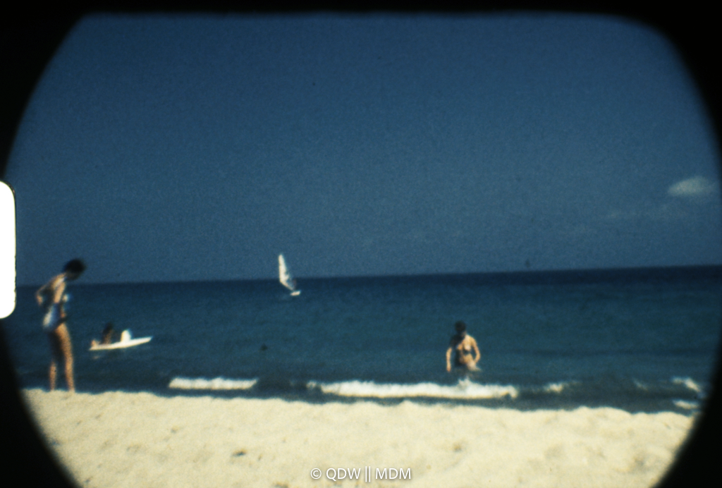 Frame 2971
