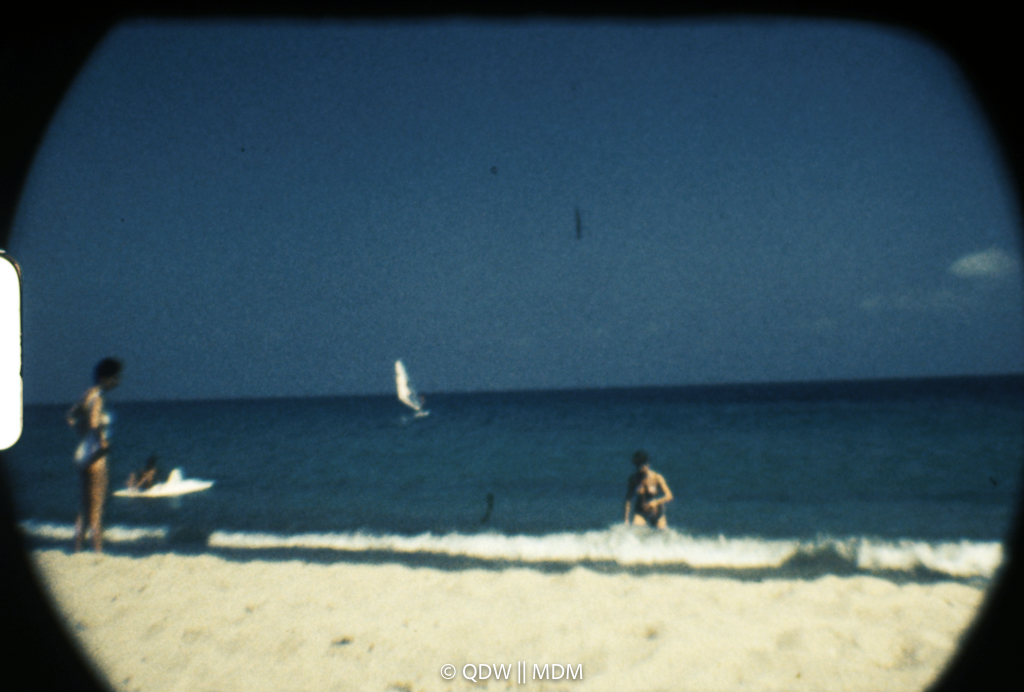 Frame 2977