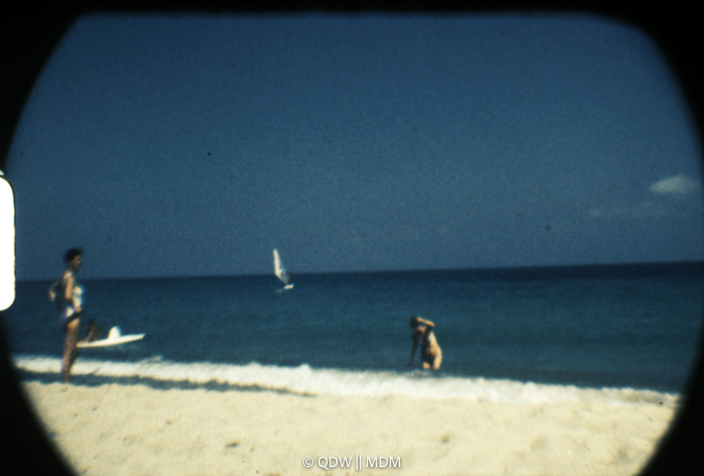 Frame 2987